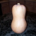 squash1