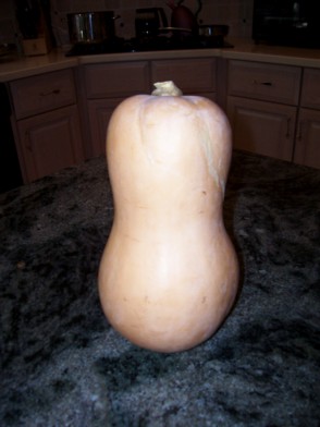 squash1